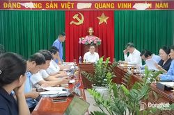 Lập chi tiết tiến độ thực hiện các dự án thúc đẩy phát triển kinh tế - xã hội tại một số xã, phường trên địa bàn Đồng Nai