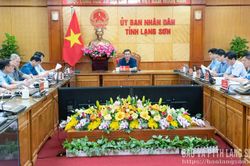 Lãnh đạo UBND tỉnh kiểm tra dự án khu liên hợp thể thao và khu đô thị Green Gardent