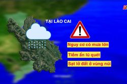 Dự báo thời tiết ngày 10/6
