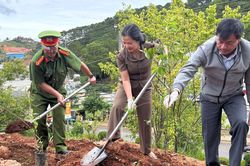 Chung tay giữ cho rừng xanh, suối sạch, đẹp phố phường