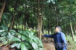 Người có uy tín - 'lá chắn mềm' bảo vệ nền tảng tư tưởng của Đảng