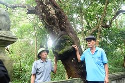 Giữ rừng bằng hương ước