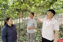 Nguồn vốn ưu đãi tiếp sức cho kinh tế tập thể
