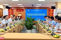 Đồng bộ giải pháp, triển khai hiệu quả Chiến lược phát triển dịch vụ logistics Việt Nam trên địa bàn TP. Hồ Chí Minh