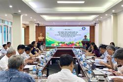 Xây dựng tiêu chuẩn quốc gia cho rau an toàn