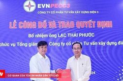 Bắt tạm giam Chủ tịch, Tổng Gi&aacute;m đốc v&agrave; Kế to&aacute;n trưởng TV3