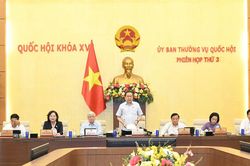 Gỡ khoảng trống pháp lý cho cơ chế phục hồi doanh nghiệp