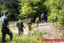 Khởi tố các đối tượng bắn voọc bạc tại khu vực cấm săn bắt