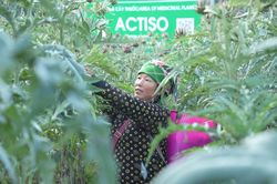 Nối dài chuỗi liên kết bốn nhà