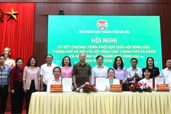Tăng cường liên kết nông dân Hà Nội và các tỉnh, thành phố
