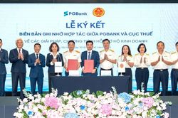 Thúc đẩy hộ kinh doanh chuyển đổi số