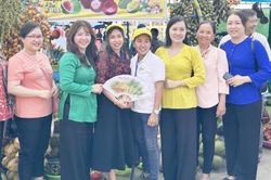 Cần Thơ sắp diễn ra Ngày hội Sông nước miệt vườn tại cồn Mỹ Phước
