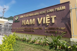 Nam Việt (ANV) đặt mục tiêu lãi năm 2026 đạt 1.070 tỷ đồng