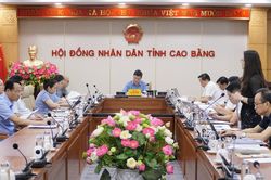 Ban Văn hóa - Xã hội HĐND tỉnh thẩm tra các dự thảo nghị quyết trình Kỳ họp thứ 4 HĐND tỉnh khóa XVIII