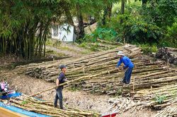 Tiến tới kinh tế l&acirc;m nghiệp đa gi&aacute; trị