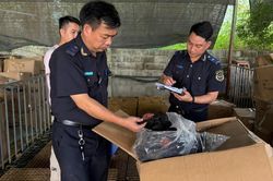 Hải quan phát hiện, xử lý gần 9.000 vụ vi phạm trong 5 tháng đầu năm