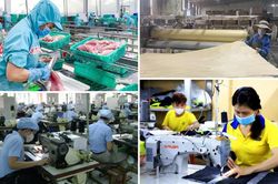 Gia Lai phấn đấu thành lập mới 7.000 doanh nghiệp trong năm 2026