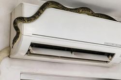 5 cách đơn giản ngăn chặn rắn, chuột chui vào điều hòa mùa hè
