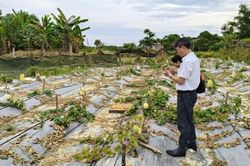 Tp. Huế: Hương An ứng dụng công nghệ, mở hướng phát triển nông nghiệp giá trị cao