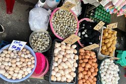 Trứng gà rớt giá, người nuôi lỗ nặng, bán lẻ giảm nhỏ giọt