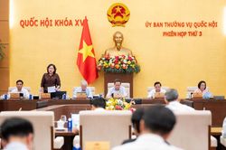 Dự kiến lập 4 đoàn giám sát việc sử dụng trụ sở sau sáp nhập tại 12 tỉnh, thành