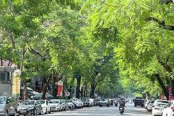 Bắc Bộ ngày nắng, khu vực đồng bằng có mưa rào rải rác