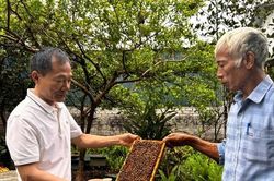 Từ đặc sản quê nhà đến sản phẩm OCOP: Đoài Phương nâng tầm nông sản