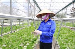 Nông nghiệp hữu cơ: Từ thay đổi tư duy đến nâng tầm giá trị nông sản Việt