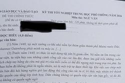 Đề thi môn Ngữ văn Kỳ thi tốt nghiệp THPT năm 2026