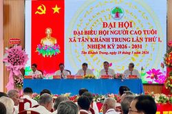 Đồng Th&aacute;p đẩy mạnh sắp xếp, kiện to&agrave;n c&aacute;c tổ chức hội