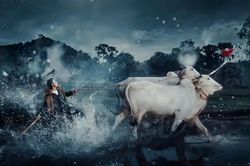 Vì sao Sơn Tùng cần chục camera cho một cảnh nhỏ trong Come My Way?