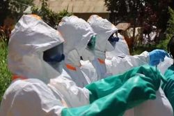 Ebola lan rộng ở Trung Phi, WHO hối thúc phối hợp xuyên biên giới