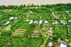 Về cồn Mỹ Phước dự Ngày hội Sông nước miệt vườn