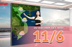 [Video] Dự báo thời tiết ngày 11/6/2026: Bắc Bộ có nắng trở lại, Trung Bộ tiếp diễn mưa dông cục bộ