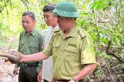 Kế hoạch 628 và hành trình chưa có hồi kết