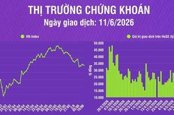 [Infographic] Chứng khoán ngày 11/6: VN-Index giảm 5,10 điểm, khối lượng giao dịch thấp