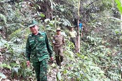 Bảo vệ, phòng cháy rừng mùa nắng nóng