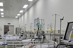 TPHCM ghi nhận hơn 400 ca mắc sốt xuất huyết trong một tuần