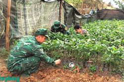 Nói đi đôi với làm trong công tác vận động quần chúng nơi biên ải