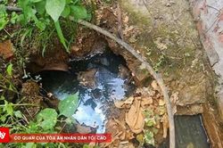 Phát hiện, xử lý các cơ sở vi phạm pháp luật về môi trường