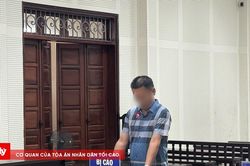 Xét xử vụ hủy hoại hơn 10ha rừng tự nhiên ở Quảng Ninh