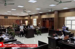 Cái giá của sự bồng bột