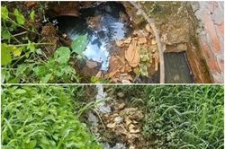 Xử phạt hai cơ sở xả nước thải vượt quy chuẩn tại Hải Phòng