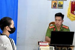 An Giang: Thông tin cá sấu xuất hiện trên kênh Vịnh Tre là giả, được tạo bằng AI