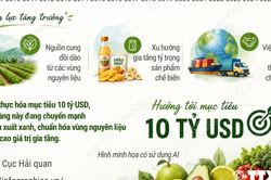5 tháng năm 2026, xuất khẩu rau quả tăng 20,4%