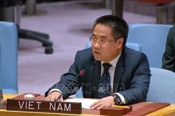 Việt Nam k&ecirc;u gọi đối thoại v&agrave; trung gian h&ograve;a giải nhằm th&uacute;c đẩy h&ograve;a b&igrave;nh bền vững ở Trung Đ&ocirc;ng