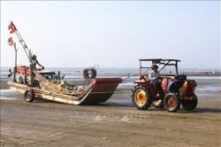 Hành trình đưa nước mắm quê hương trở thành OCOP 3 sao