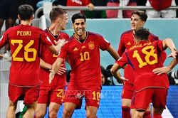World Cup 2026: Cuộc đọ sức giữa hào quang và khát vọng