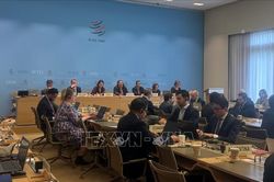 Việt Nam tham gia phiên rà soát chính sách thương mại của Uruguay