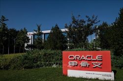Oracle vượt dự báo lợi nhuận, chuẩn bị huy động thêm 40 tỷ USD cho AI